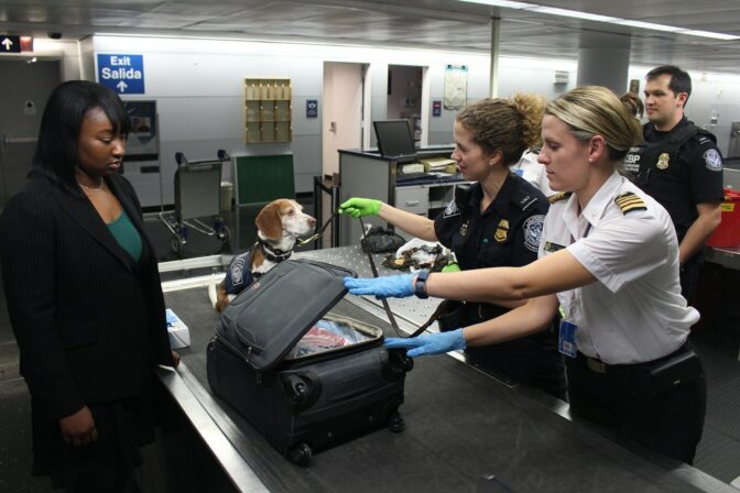 Understanding Customs Regulations for International Moving