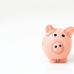 pink pig figurine on white surface