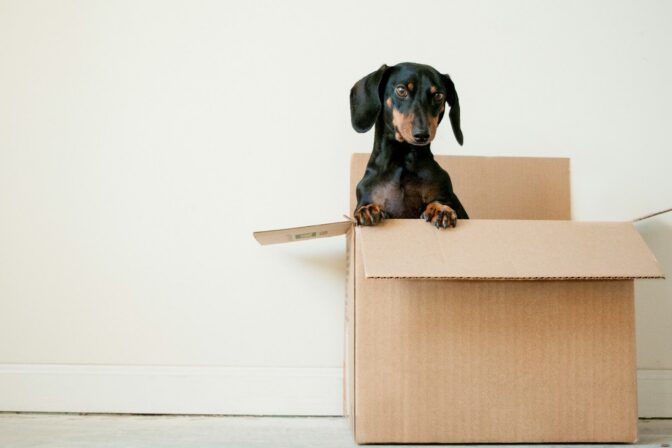 Should You Pack Yourself or Hire Professionals for International Moves?