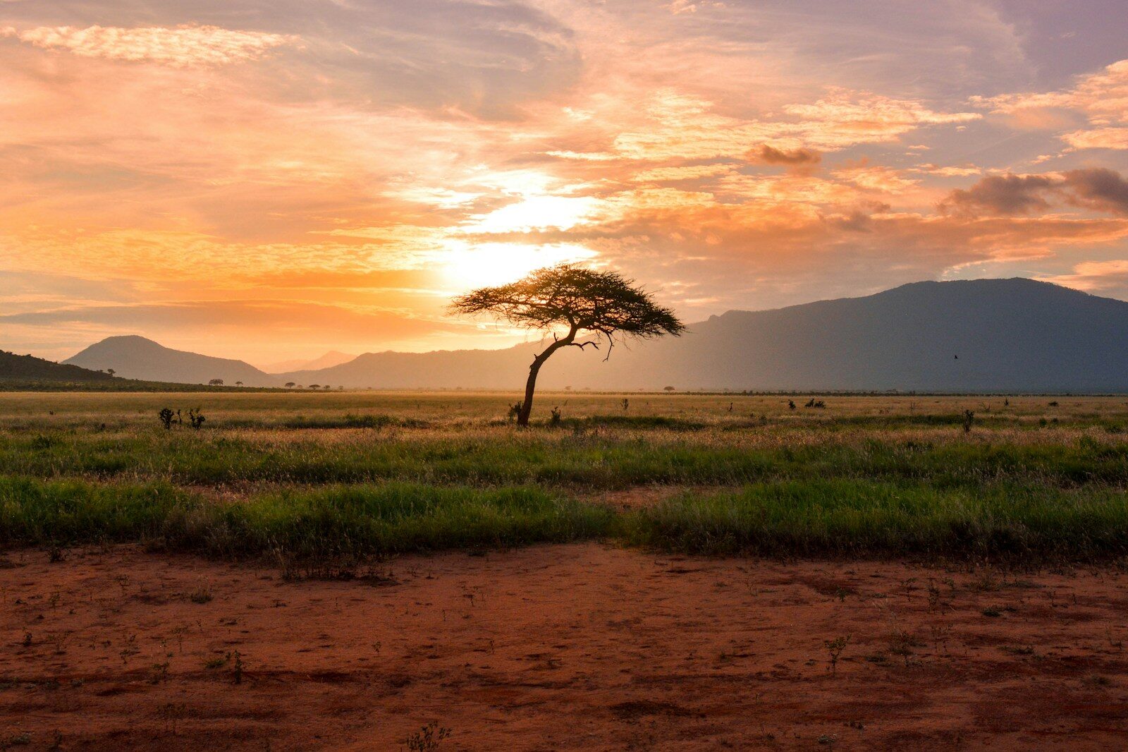 Moving to Africa from Canada
