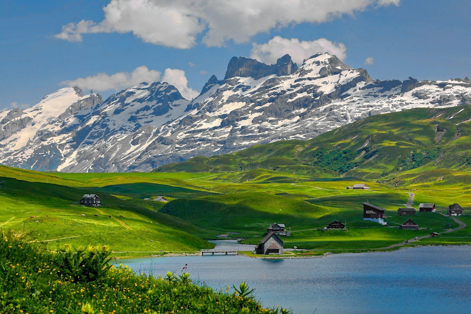 Moving to Switzerland from Canada
